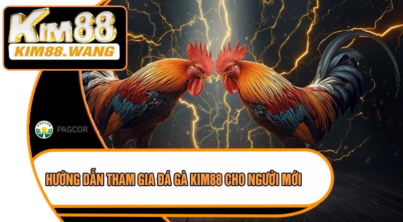 Hướng Dẫn Tham Gia Đá Gà KIM88 Cho Người Mới