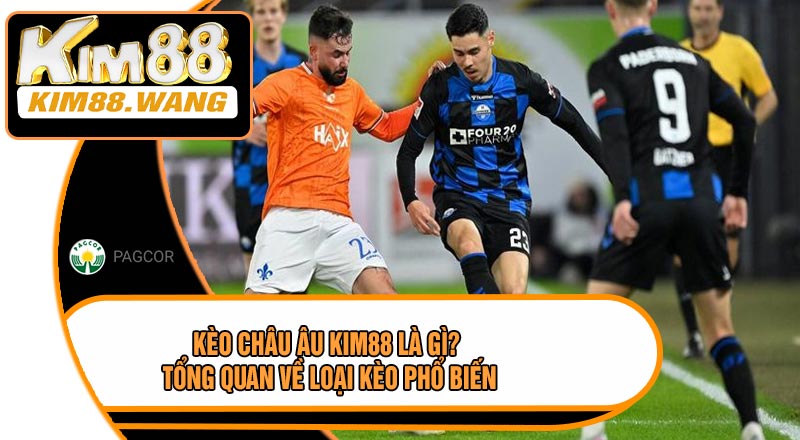 Kèo Châu Âu KIM88 Là Gì? Tổng Quan Về Loại Kèo Phổ Biến