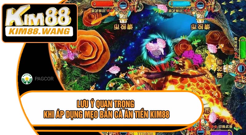 Lưu Ý Quan Trọng Khi Áp Dụng Mẹo Bắn Cá Ăn Tiền KIM88