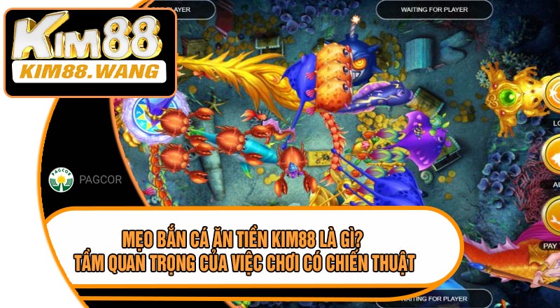 Mẹo Bắn Cá Ăn Tiền KIM88 Là Gì? Tầm Quan Trọng Của Việc Chơi Có Chiến Thuật